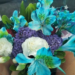 I LOVE TO MAKE DEALS! SINGLE ITEMS OR BUNDLE